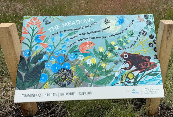 Meadows Sign.jpeg
