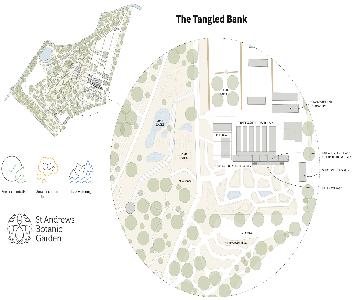 The Tangled Bank 1 R1